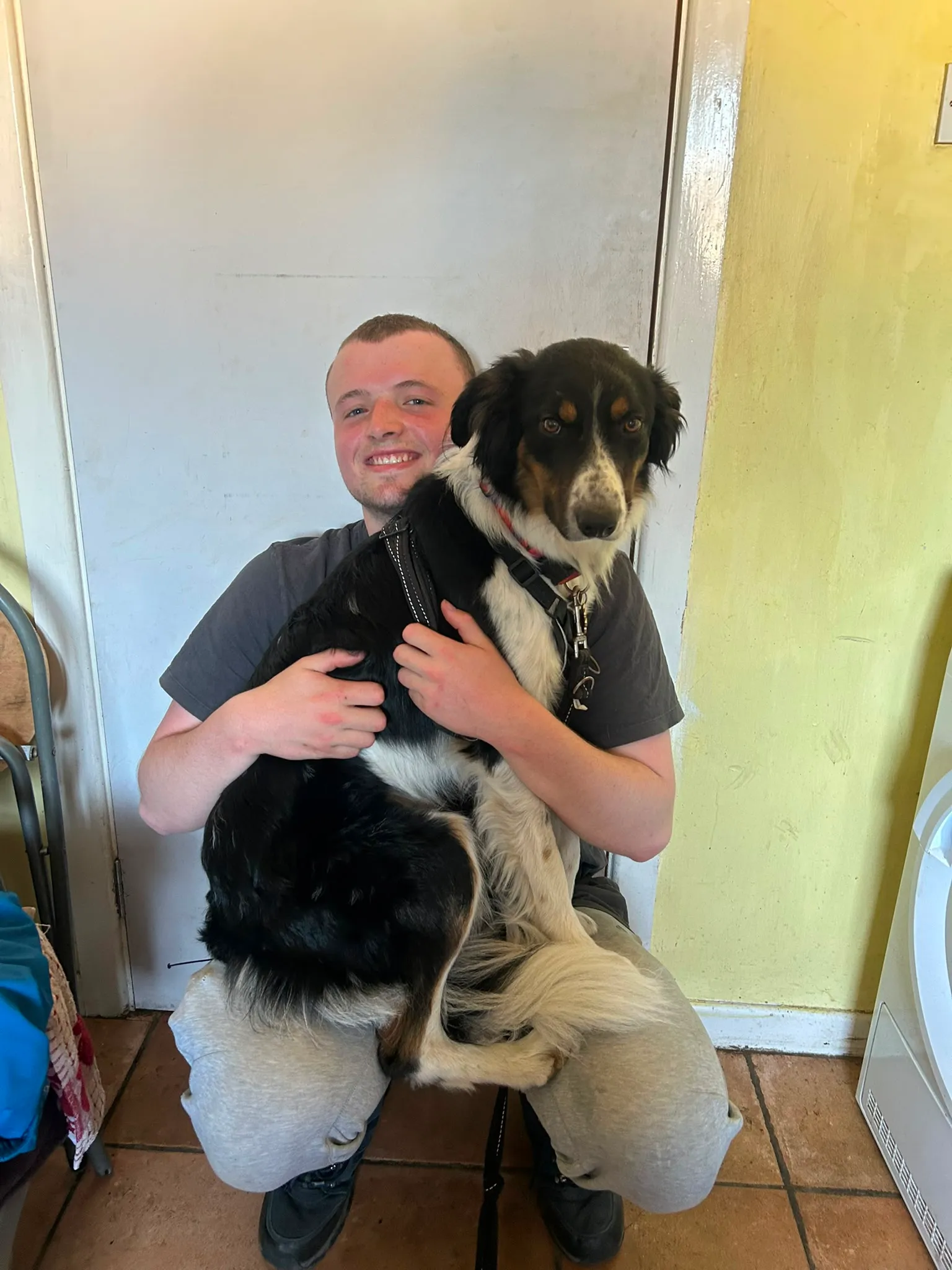 Paul cuddling a border collie